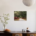 thumbnail image 5 of Road Lined with Azaleas and Live Oaks, Spanish Moss, Savannah, Georgia, USA, Scenic Seasons Stretched Canvas Wall Art by Adam Jones Sold by Art.Com, 5 of 5