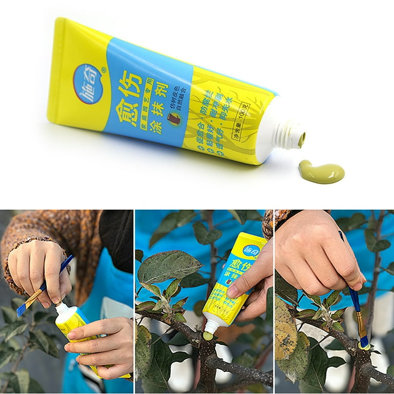 100g Tree Wound Bonsai Cut Paste Smear Agent Pruning Compound Sealer with Brush, Blue