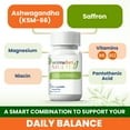 thumbnail image 6 of Ashwagandha KSM-66 & Saffron Supplement | Stress Relief, Mood & Emotional Balance | Vitamin B & Magnesium | Natural Pills for Mental Relaxation | 30 Capsules | AnimaFort Multi, 6 of 8