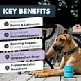 thumbnail image 3 of Mighty Paw Dog Calming Chews with Melatonin – Anxiety & Stress Relief Treats for Puppies & Large Dogs, 120 Ct, 3 of 11