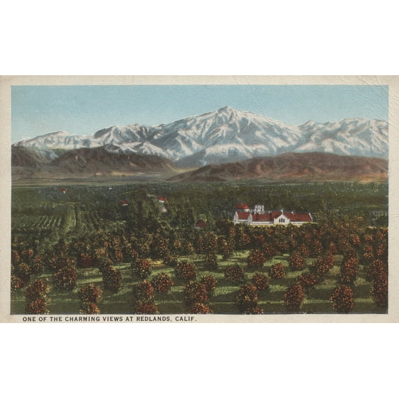 Redlands, CA, Mountain and Orchard Scene (36x54 Giclee Gallery Art Print, Vivid Textured Wall Decor)