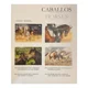thumbnail image 2 of Caballos Razas Y Orígenes Lexus Editores Libro Ilustrado, 2 of 4