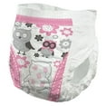 thumbnail image 3 of Comfees Training Pants for Girls, DriNite 12-hr Leakage Protection, 3T-4T, 23 Count, 1 Pack, 3 of 6
