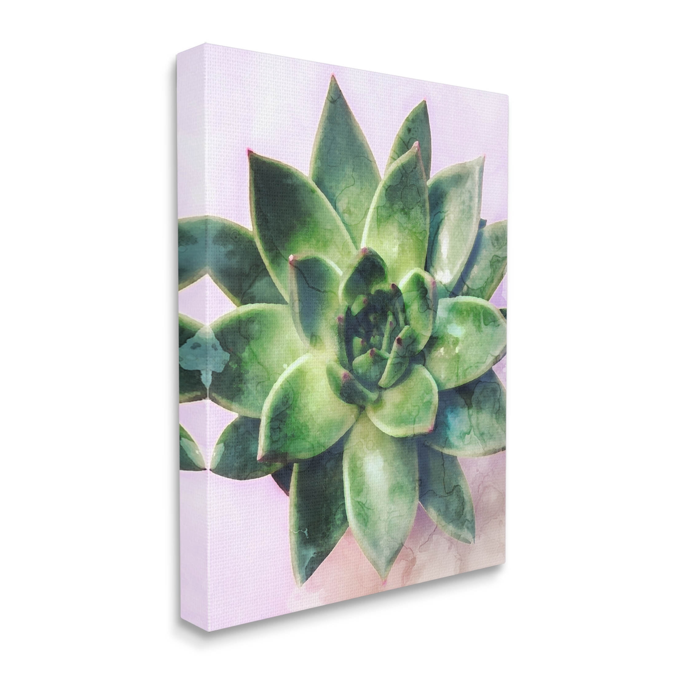 Round Succulent Plant Leaves Botanical & Floral Graphic Art Gallery Wrapped Canvas Print Wall Art