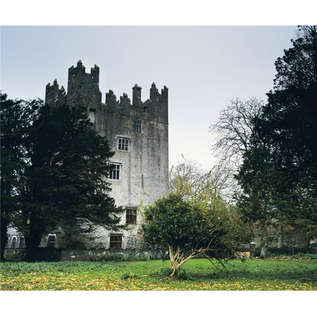 Posterazzi DPI1803065LARGE Château Matrix Co Limerick Irlande Affiche Imprimée par The Irish Image Collection, 32 x 26 - Grand