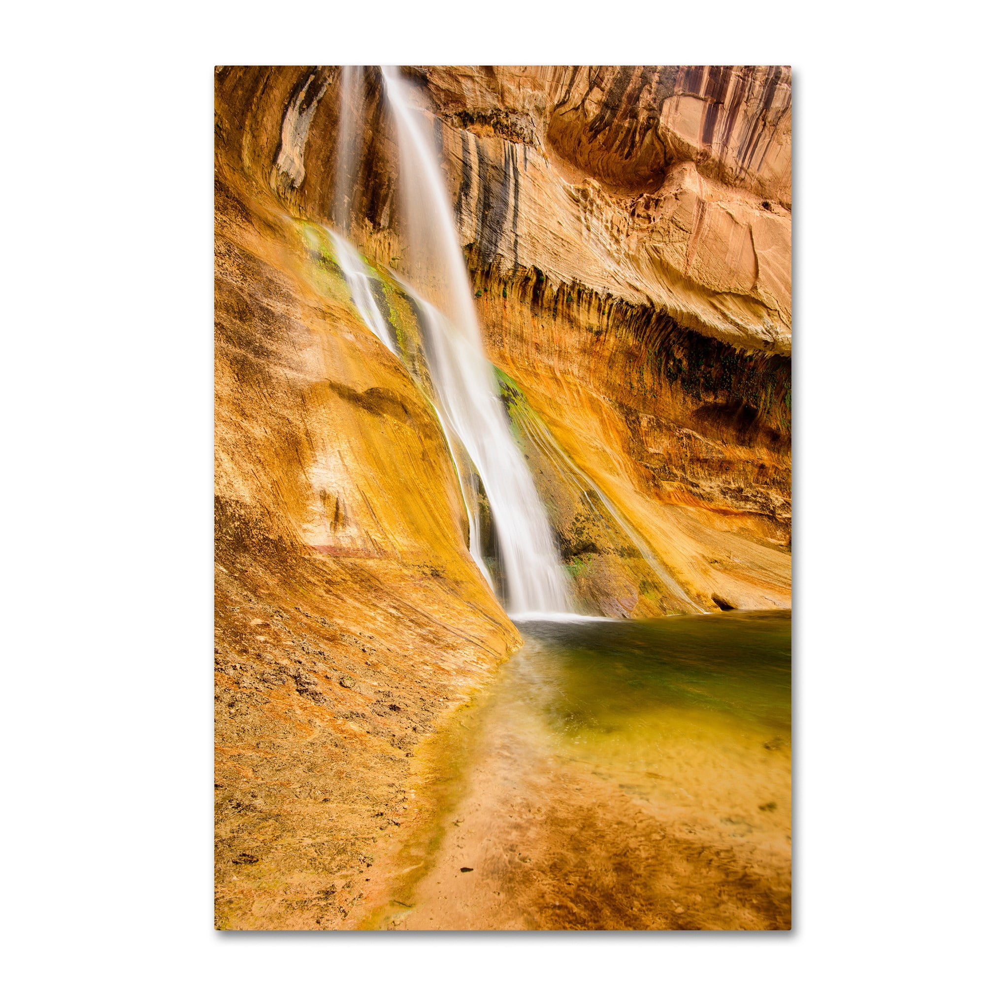 Trademark Fine Art "Desert Oasis" Canvas Art by Michael Blanchette Photography