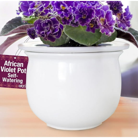 African Violet Pots Self Watering – 6.5”W x 4.6”H Ceramic Self Watering Pots for Indoor Plants with Glazed White Outer Pot & Absorbent Inner Pot for Easy Plant Care