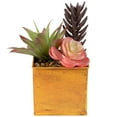 thumbnail image 3 of Northlight Artificial Potted Mixed Succulent Arrangement - 7", 3 of 6