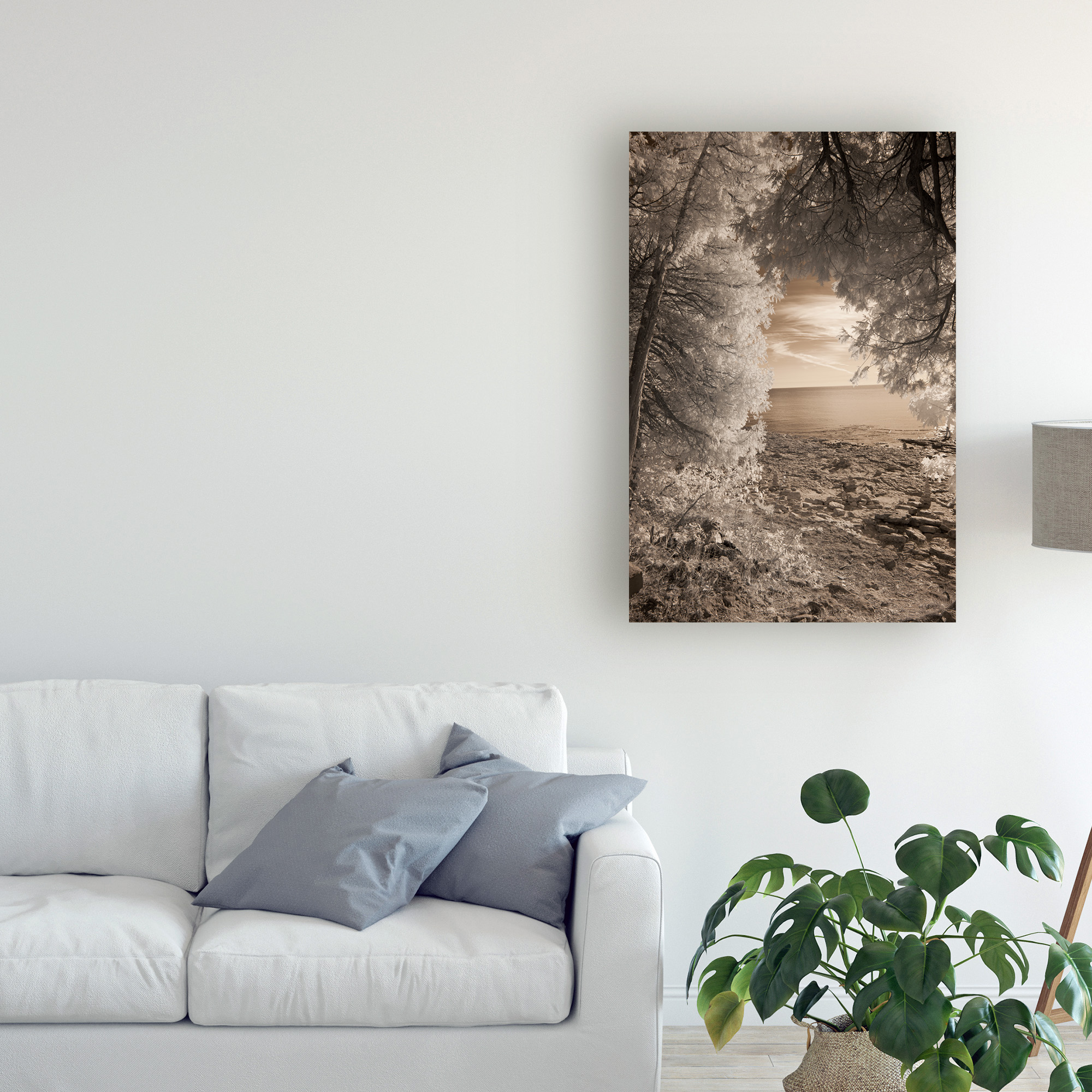 Trademark Fine Art 'Tree Frame Sepia' Canvas Art by Monte Nagler