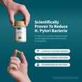 thumbnail image 5 of Snap Supplements Gut Health, Prebiotics and Probiotics for Digestive, 50 Capsules, 5 of 10