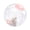 Pink, variant on Transparent 7.9" Hamster Exercise Ball – Breathable, Easy-Clean Running Toy for Syrian/Dwarf Hamsters, Gerbils & Mice