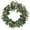 Green-6, variant on 15 Inch Artificial Eucalyptus Wreath with White Flowers Spring Summer Wreaths for Front Door Indoor Outdoor Rustic Farmhouse Greenery Flower Wreath Decor Wall Hanging Window Display