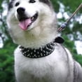 thumbnail image 5 of Un collar para perros con púas, adecuado para perros de tamaño grande y mediano,, 5 of 5