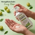 thumbnail image 3 of Amla Bhringraj Shampoo with Pro-Vitamin B5 & Aloe Vera – Daily Hair Cleanser for Soft & Manageable Hair – Suitable for Men & Women, All Hair Types, 3 of 10