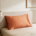 thumbnail image 6 of Lzobxe Comfortable Satin Pillowcase, Silky Smooth and Soft Pillow Covers, Skin Friendly Backrest Cushions for Hot Sleepers and Night Sweats, 6 of 6