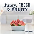 thumbnail image 5 of Mrs. Meyer's Foaming Hand Soap, Watermelon, 10 OZ (Pack of 6), 5 of 6