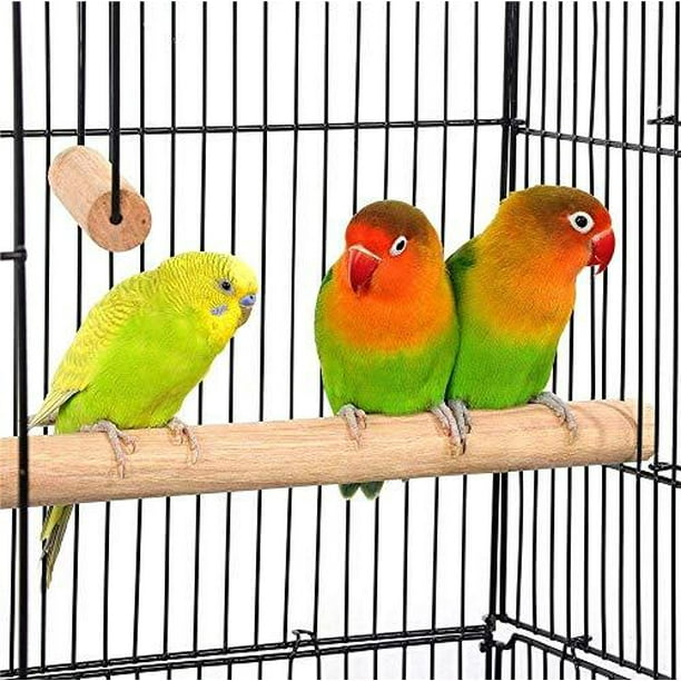Parakeet cages cheap at walmart