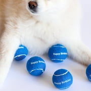 Midlee 12-Piece Happy Birthday Tennis Balls Dog Toys, Blue, Small