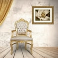 thumbnail image 3 of Perry, Rachel 32x25 Gold Ornate Wood Framed with Double Matting Museum Art Print Titled - Classic Magnolia II, 3 of 4