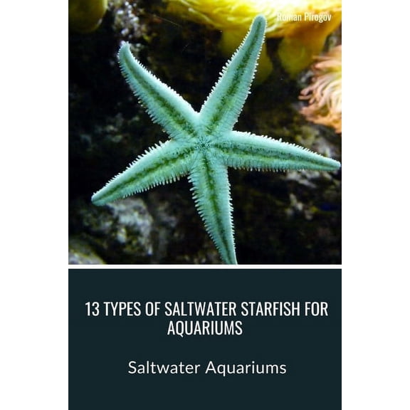 13 Types of Saltwater Starfish for Aquariums: Saltwater Aquariums (Paperback)