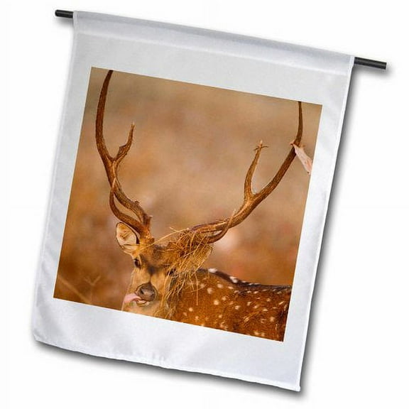 3dRose, Kanha, Madhya Pradesh, Chital deer - AS10 JMC0003 - Joe and Mary Ann McDonald, 12 x 18 inch Garden Flag