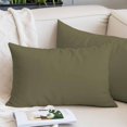 thumbnail image 2 of Sage Green Queen Pillow Covers, Brown Solid Color Simple Abstract Soft Breathable Throw Pillow Cases with Invisible Zipper, Decorative Pillowcase Pillows Protectors for Sofa Bed Chair 20"x30", 2 of 9
