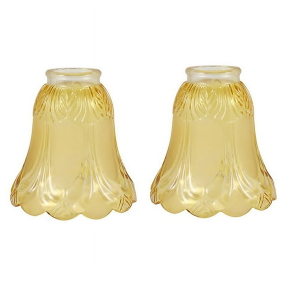 2PCS Ceiling Fan Chandelier Frosted and Clear Glass Light Lamp Shade Replacement