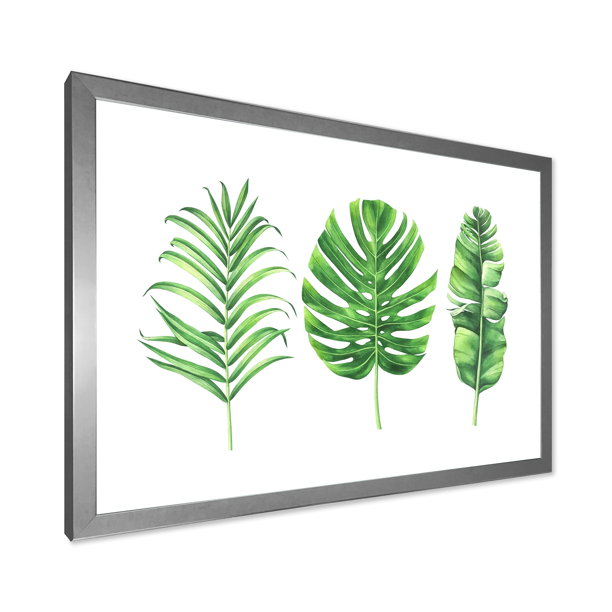 Designart 'Close Up Of Tropical Leaf Of Monstera IV' Farmhouse Framed Art Print