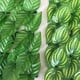 thumbnail image 5 of 2X Valla de Privacidad de Hojas Artificiales, Rollo de Pared, Valla de Paisajismo, Valla de Privacidad, Pantalla para Jardín Al Aire Libre, Patio Trasero, Valla de Balcón, 5 of 5