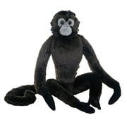 Wild Republic Cuddlekins Spider Monkey Stuffed Animal, 12 Inches