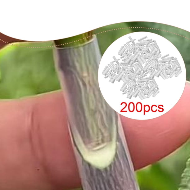 Funda protectora para injertos de árboles frutales, accesorio para el cuidado de árboles, herramienta para injertos de árboles frutales para plantas, 200 piezas