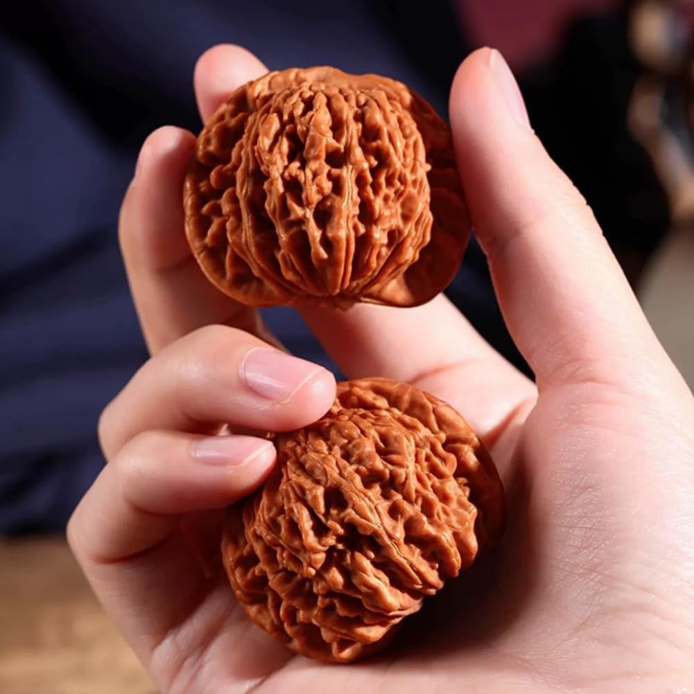 Wenwan Walnuts Hand Exercise Balls, Chinese Natural Walnut Fidget for Stress Relief & Focus, 2PCS Hand Massage Therapy Gifts with Box (Lion Head A, 41-42mm)