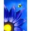 thumbnail image 3 of Cuadros Decorativos Flor pintura al óleo por números Kits DIY lienzo pared arte imagen hogar regalo sin marco JShteea Nuevos Originales, 3 of 9