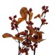 thumbnail image 3 of Corona Vickerman, 56 cm, color naranja, hojas otoñales y bayas, 3 of 4