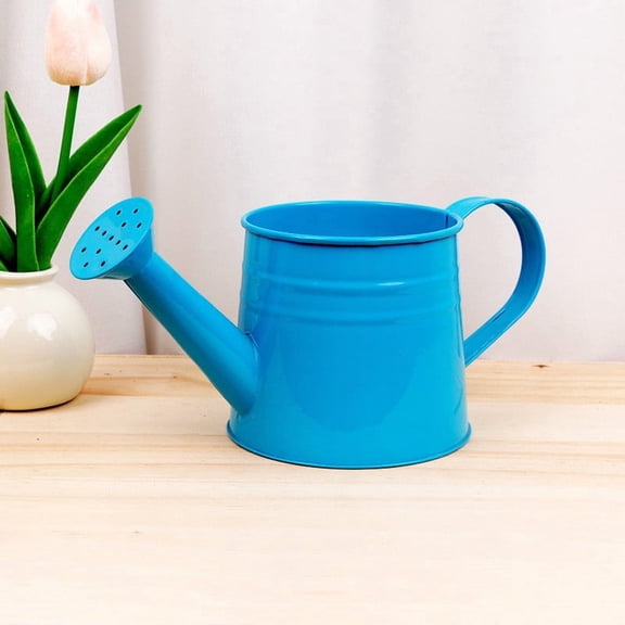 Watering Can for Indoor Plants, Small Mini Houseplant Watering Can with Handle, Home Garden Outdoor