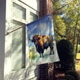 thumbnail image 4 of American Bison House Flag 28 in x 40 in, 4 of 7