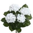 thumbnail image 1 of Vickerman FL171501 Hortensia Blanc X5 Buisson Floral - 17,5 Po., 1 of 4