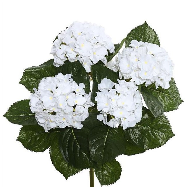 Vickerman FL171501 Hortensia Blanc X5 Buisson Floral - 17,5 Po.