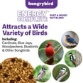 thumbnail image 4 of Hungrybird Energy Complete Diet, 7lb - All-Season Blended Berry Suet & Mixed Nut Blend for Wild Birds, 4 of 6