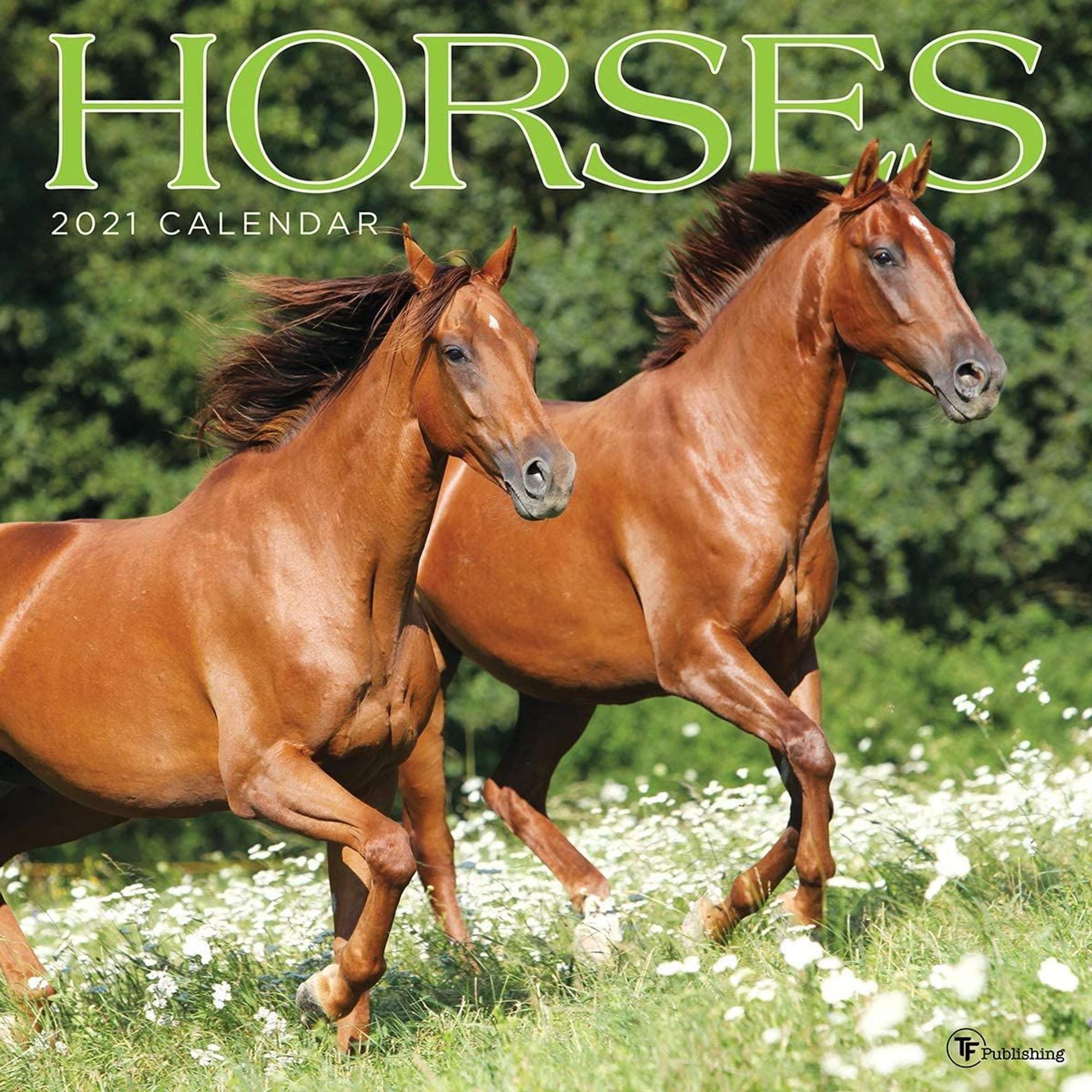 TF PUBLISHING 2021 Horses Monthly Wall Calendar Animal Photography