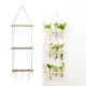 thumbnail image 5 of de Cristal Florero Moderno Florero Soporte de Estante Terrario Colgante para Propagar Plantas Hidropoinc, Decoración con , Madera natural 3capas de madera natural Macarena Florero de tubo de ensayo, 5 of 8