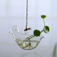 thumbnail image 2 of Hanging Glass Flowers Plant Vase Bottle Terrarium Container Home Garden Decors DIY, 2 of 5