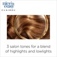 thumbnail image 2 of Clairol Nice 'n Easy Permanent Hair Color, 2.5/123 Soft Black, 1 Kit, 2 of 6