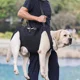 thumbnail image 2 of Arnés De Chaleco Para Perros Arnés De Elevación Para Perros, 2 of 8
