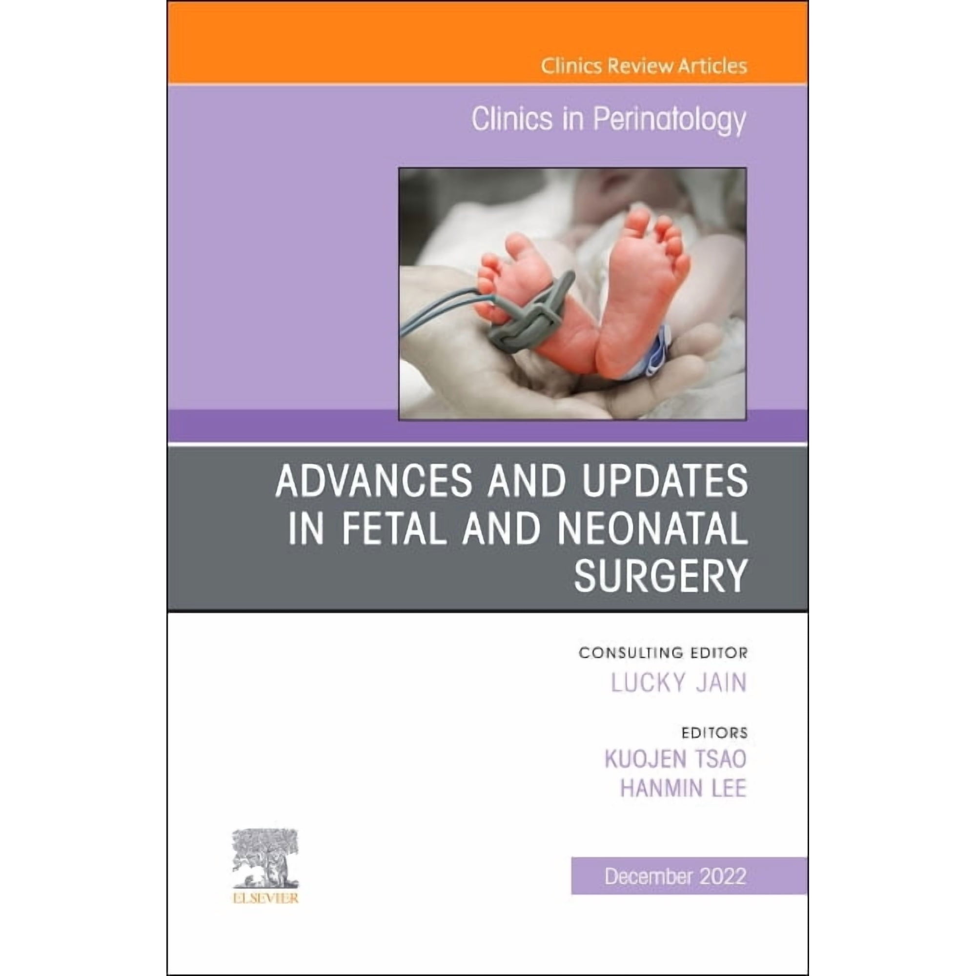 Clinics: Internal Medicine Advances and Updates in Fetal and Neonatal Surgery, an Issue of Clinics in Perinatology: Volume 49-4, Book 49, (Hardcover)