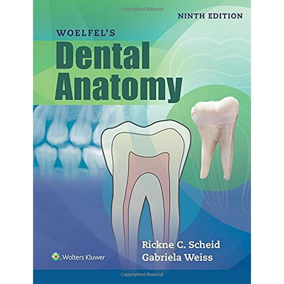 Pre-Owned Woelfels Dental Anatomy