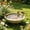 B - 10X10cm, variant on Copper Bird Basin Outdoor Bird Bath Disc Feeder Cleaning Tray Brass Water Pool Accessory Protective Coated Cleanser Wild Bird Daily Care Gear ,B - 10X10Cm