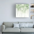 thumbnail image 2 of Trademark Fine Art June Erica Vess Misty Grove I Canvas Wall Art, 2 of 4