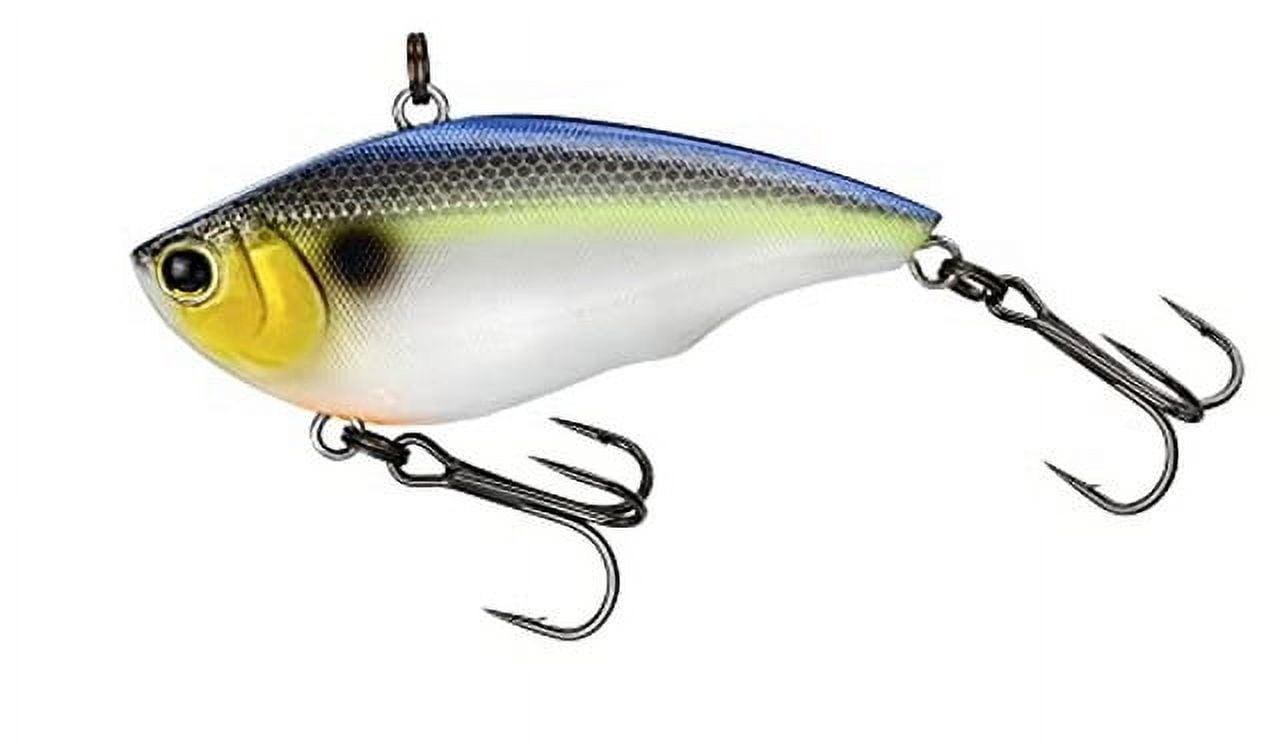 Rapala DT6 Crankbait 2" Fishing Lure 3/8oz Blue Back Herrring - Walmart.com Rapala DT6 Crankbait 2" Fishing Lure 3/8oz Blue Back Herrring - Walmart.com