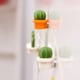 thumbnail image 2 of Mini Cactus Imán para Nevera Etiqueta Magnética para Mensaje Hebilla Fija Accesorios Decorativos Magnéticos Naranja, 2 of 5